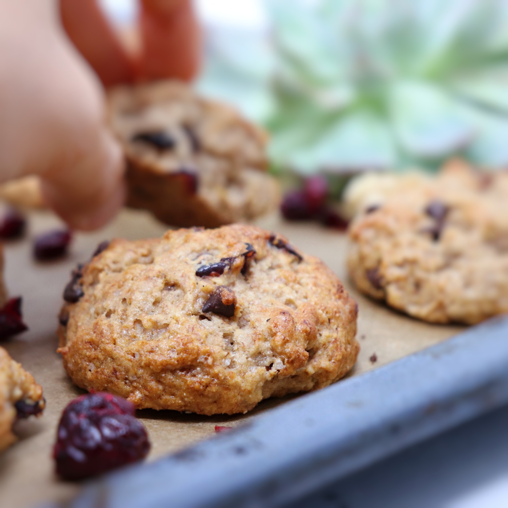 Biscotti mirtilli rossi e banana con farina di farro VeganAesthete