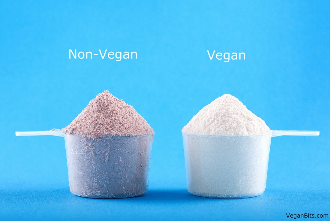 Best Tasting Vegan Protein Powders (Top 5 Picks for 2023)