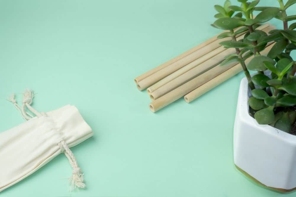 Are Bamboo Straws Dishwasher Safe? 5 Care Tips For Bamboo Straws