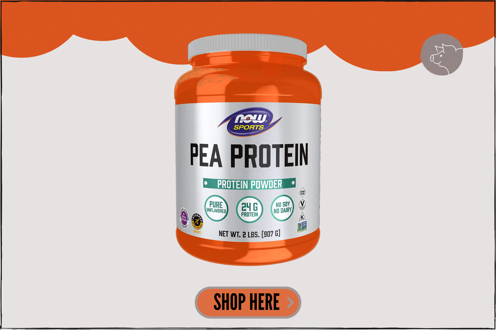 Now Sports Pea Protein Powder Honest Review (2023)
