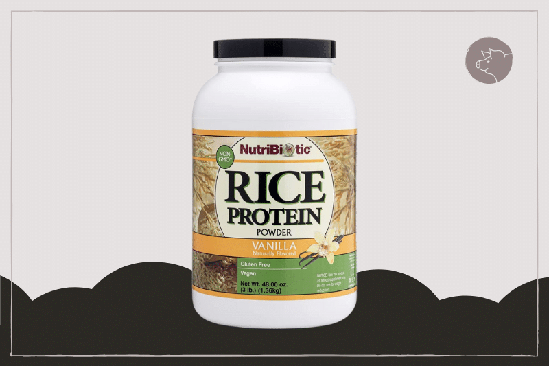 Nutribiotic Rice Protein Powder Honest Review (2022)