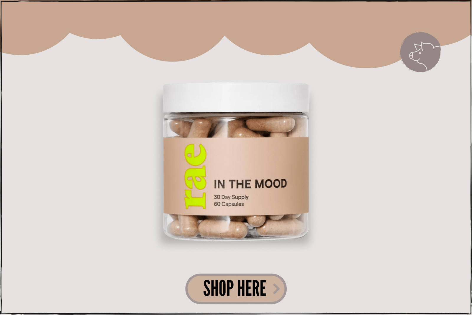 Rae Wellness In The Mood Review Does It Actually Work?