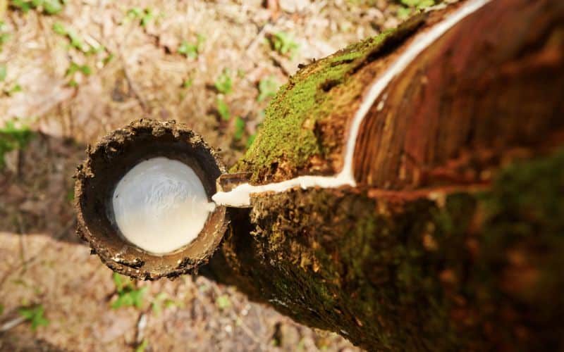 Is Rubber Vegan? Here's What You Need To Know