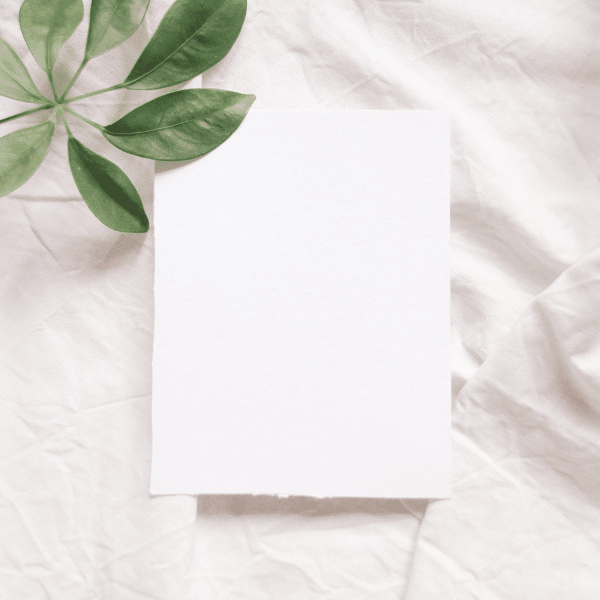 Is Paper Vegan? Diving Into The Makings of Paper