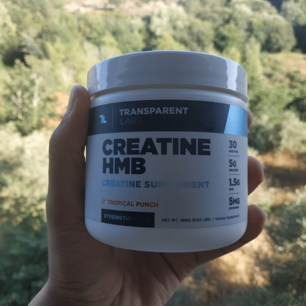 Vegan Creatine vs Regular Creatine What's The Difference?