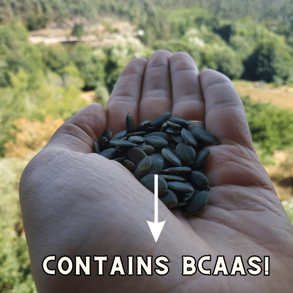 7 Vegan Foods Loaded with BCAAs