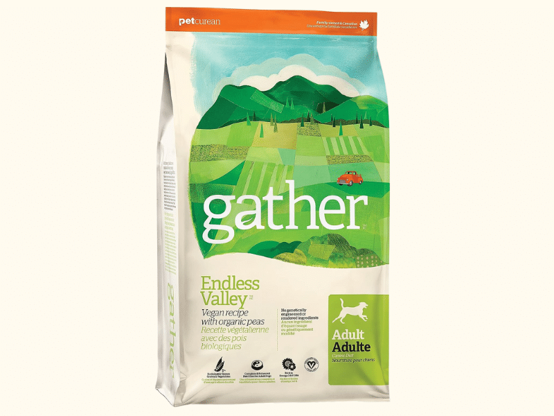 The Best Vegan Dog Food Brands (Reviewed in 2023)