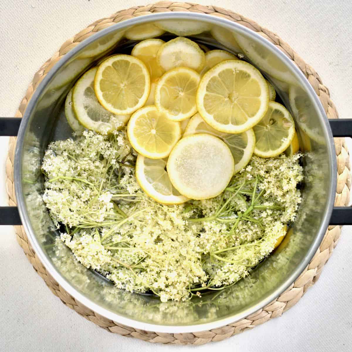 Elderflower Cordial Recipe Vegan on Board