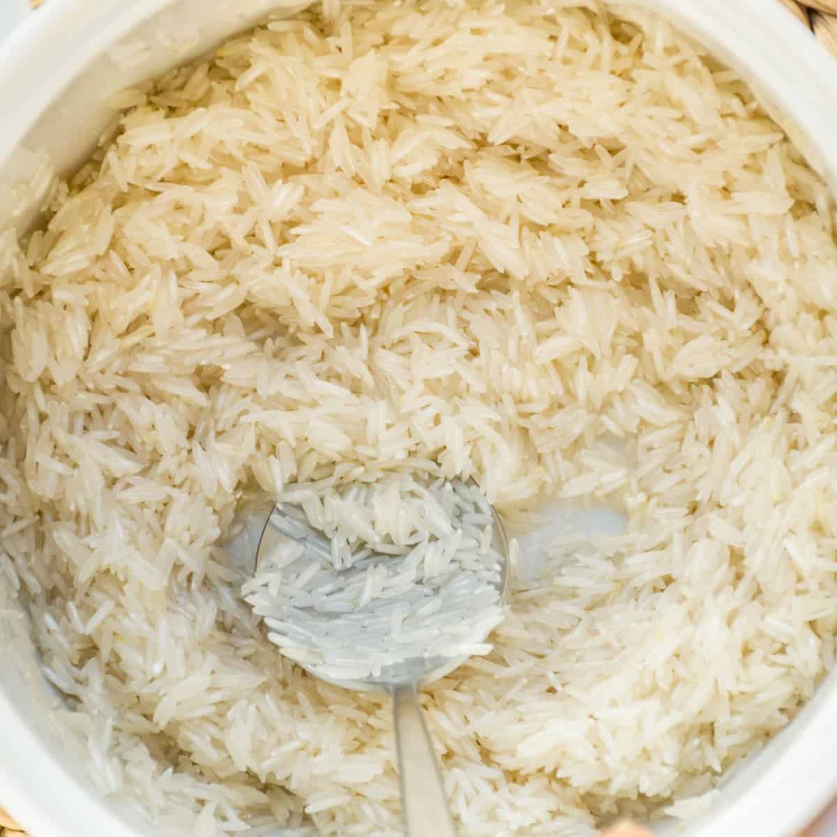 Yellow Rice Vegan on Board