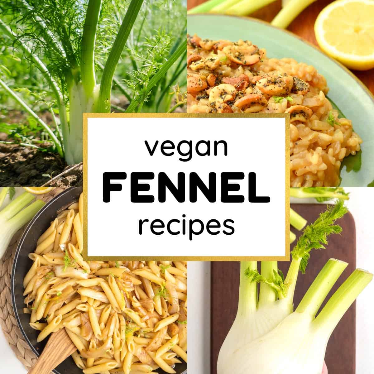14 Vegan Fennel Recipes To Try! Vegan on Board