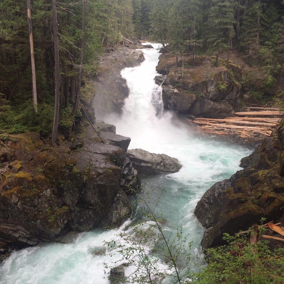 Vegan in Washington!