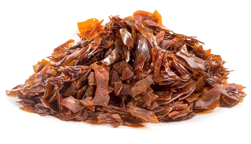 Is Shellac Vegan? Resin Explained Vegan Picker