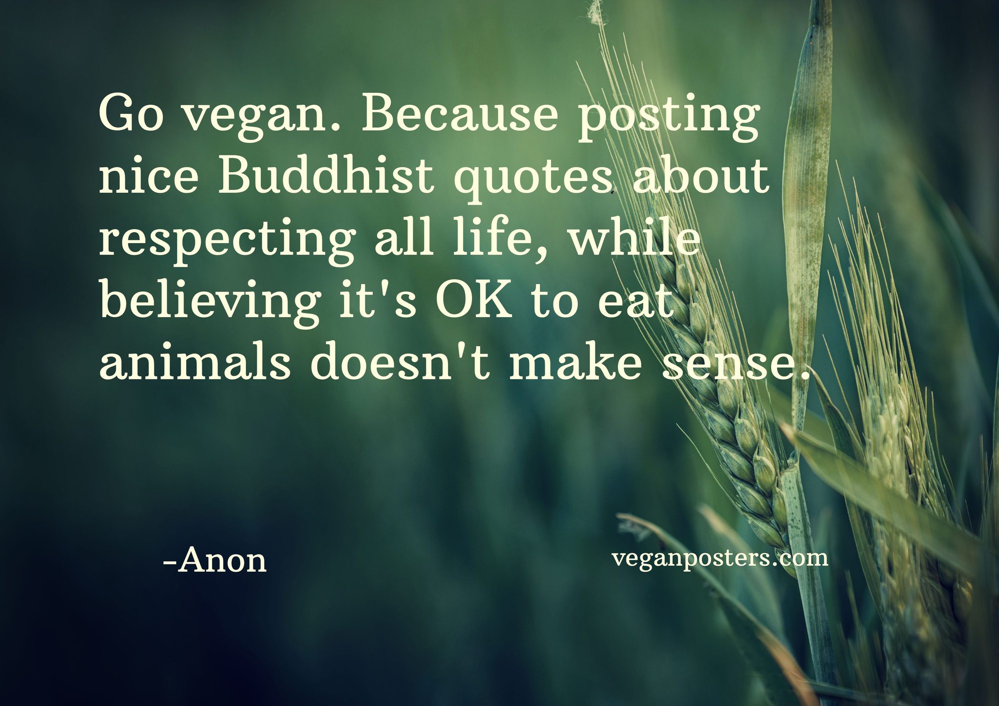 Go vegan. Because posting nice Buddhist quotes Vegan Posters