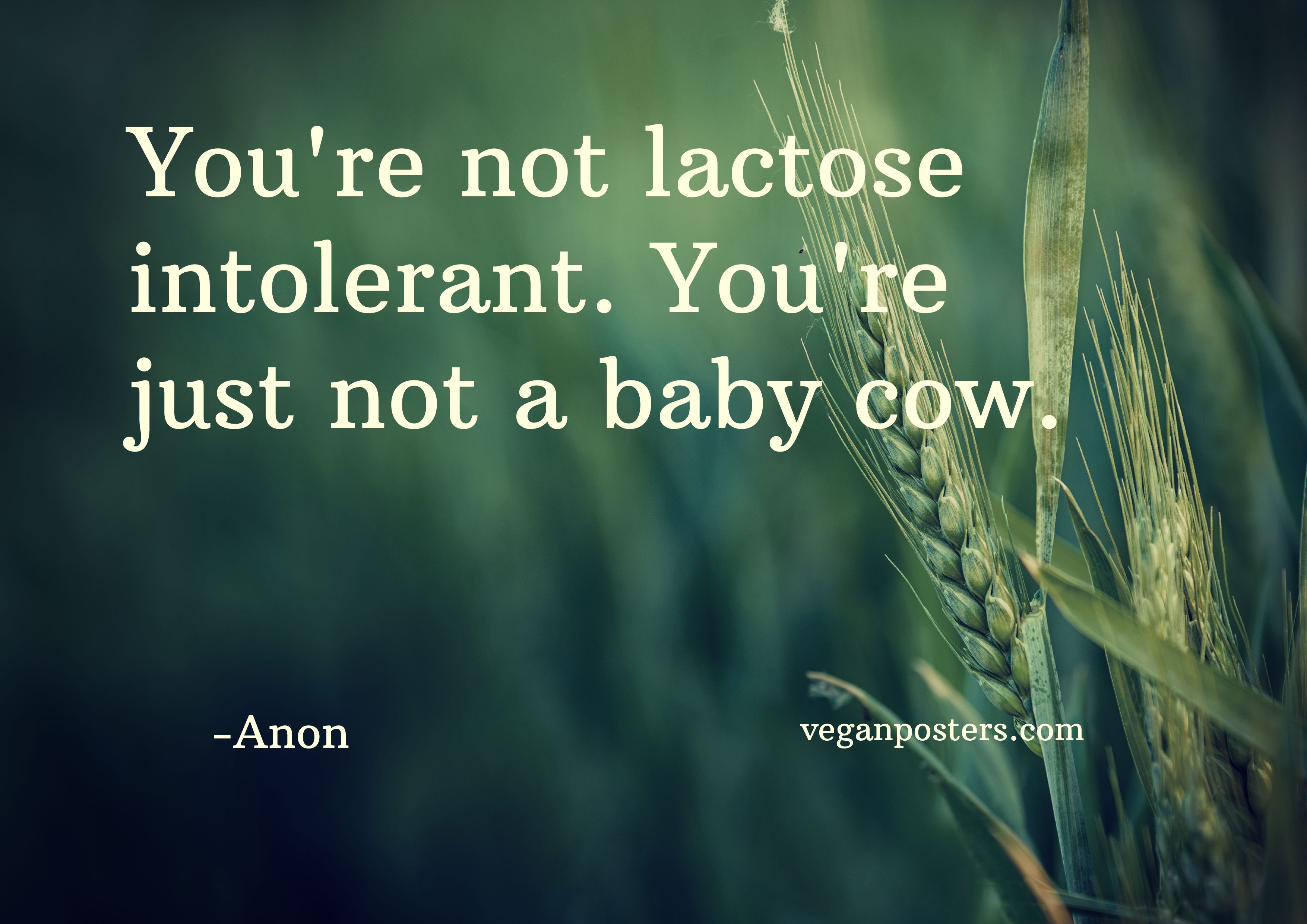You're not lactose intolerant. You're just not Vegan Posters