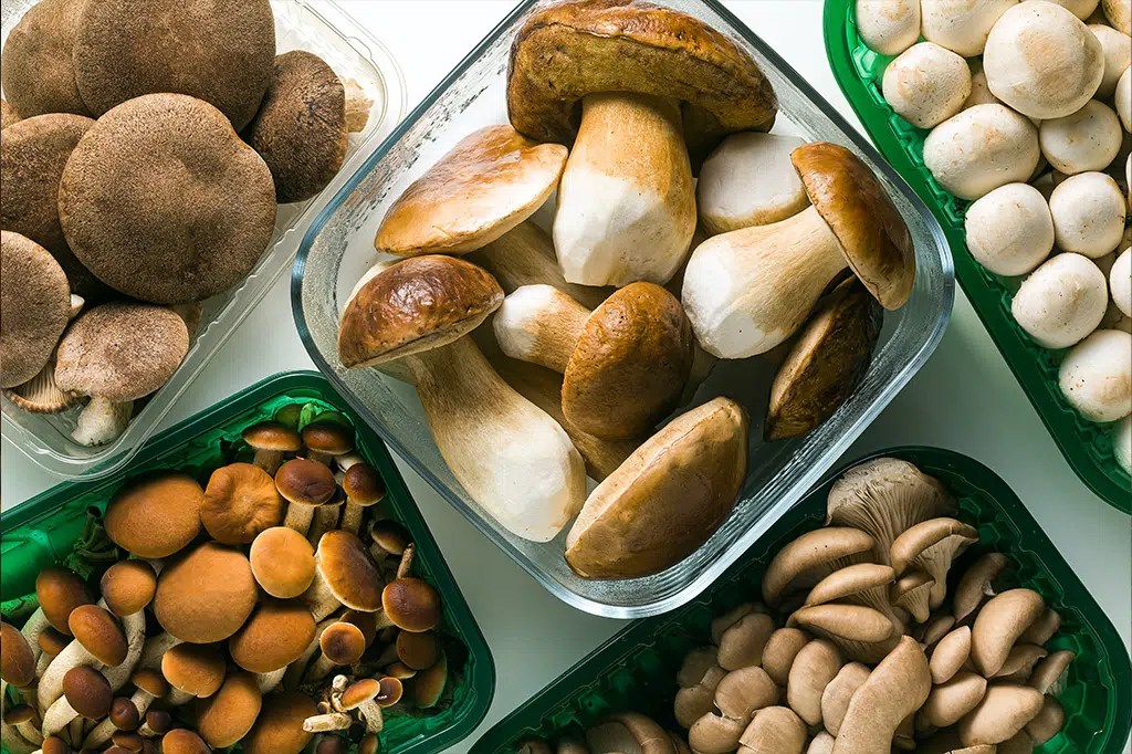 Study Finds Mushrooms Lower The Risk Of Depression Vegan's Bay