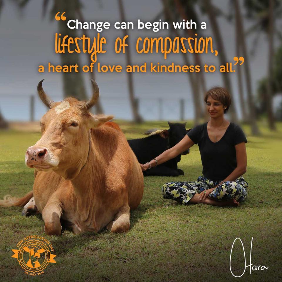 Debunking Every Argument Against Veganism in Sri Lanka Part 1 Vegan