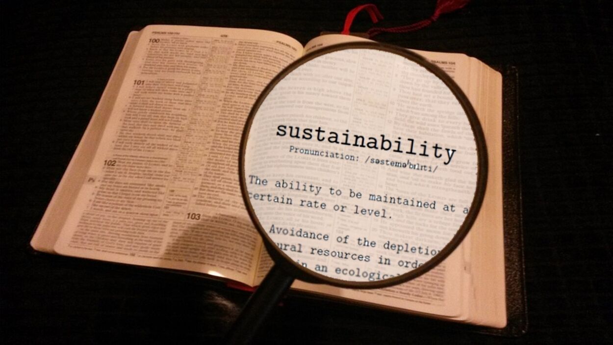 Reclaiming the Word ‘Sustainability’