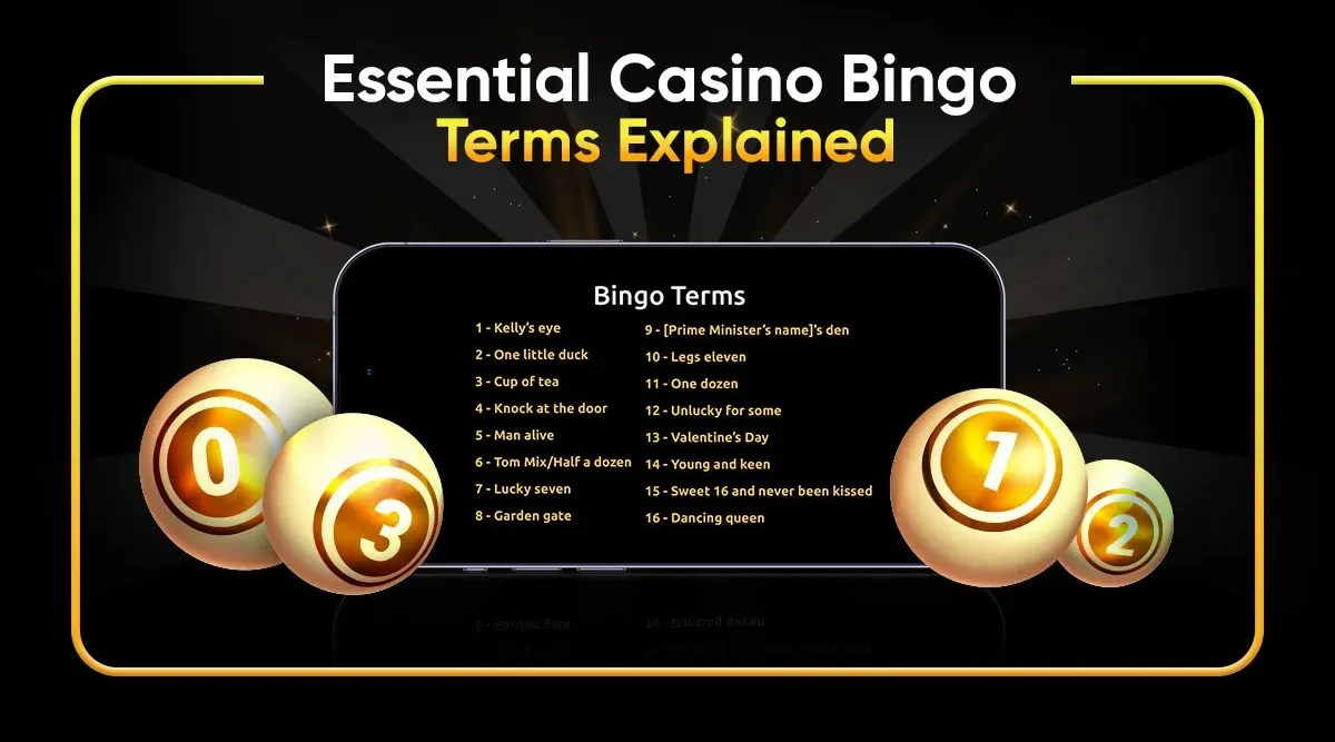 Bingo Terms Master the Language of the Game