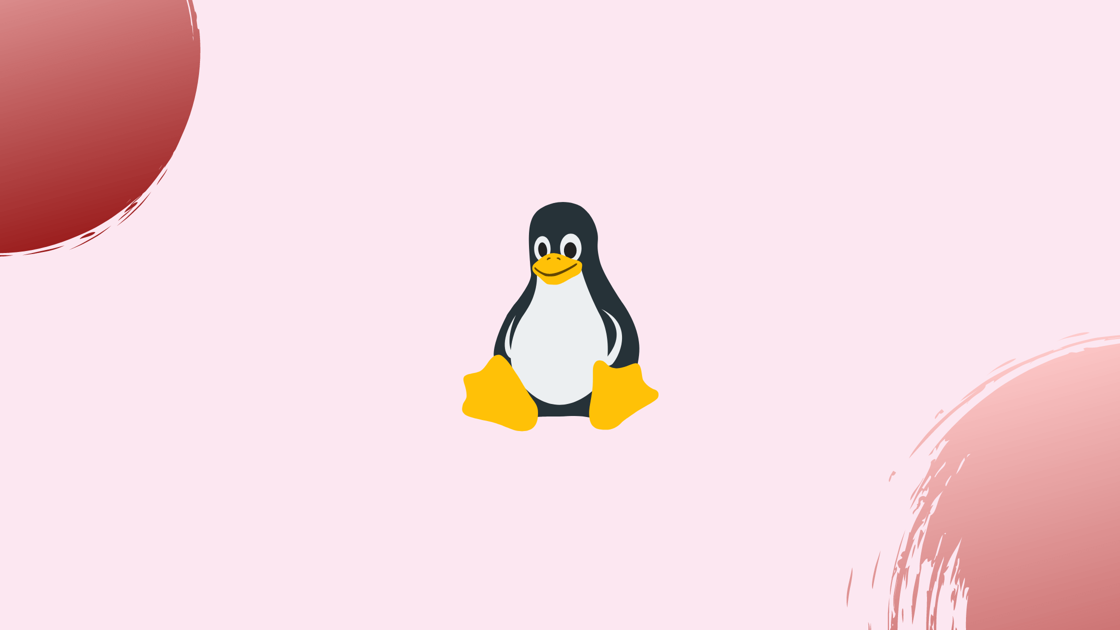 How to Create Groups on Linux (groupadd Command)
