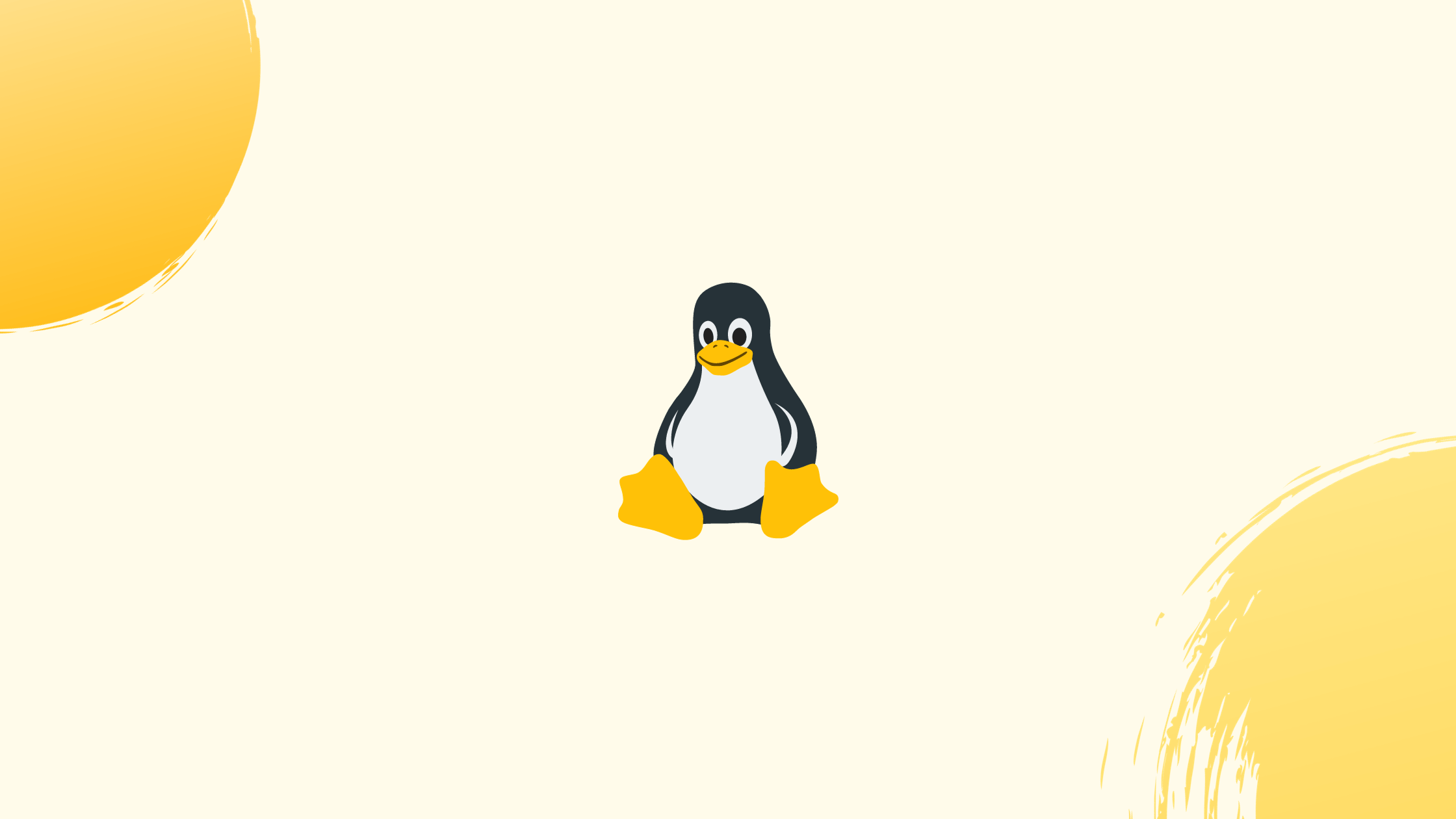 How to Use arp Command in Linux?