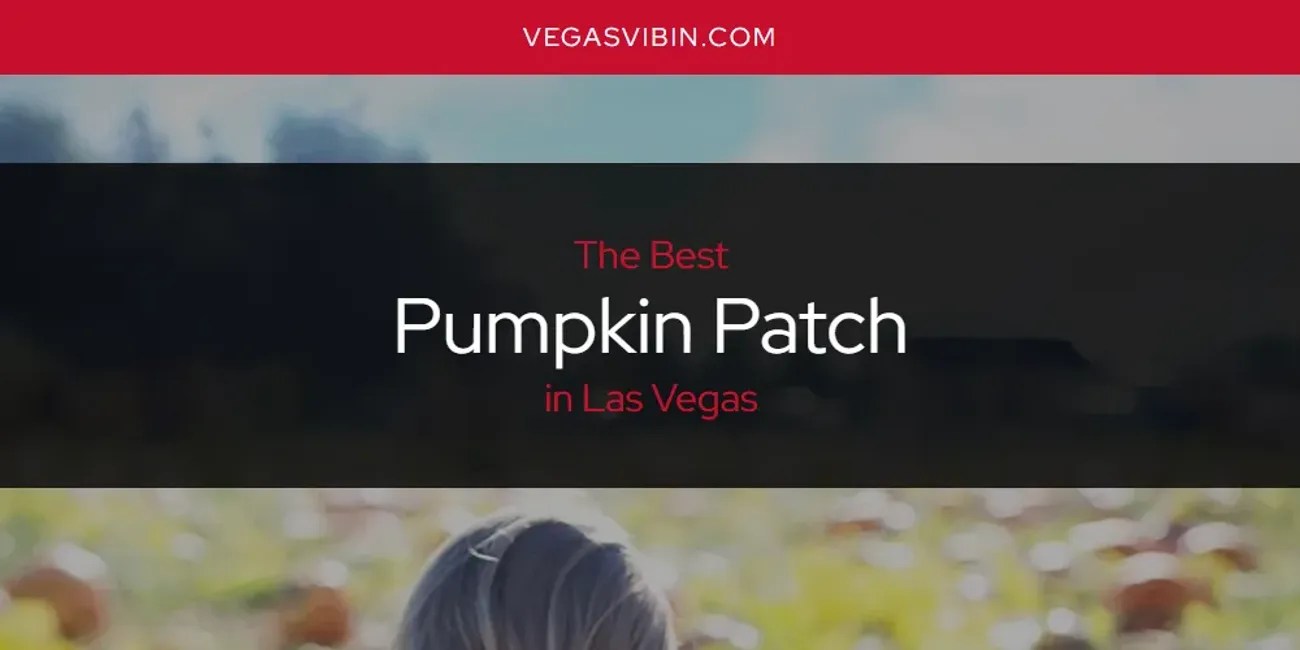 The Best Pumpkin Patch in Las Vegas [Updated 2023] VegasVibin'