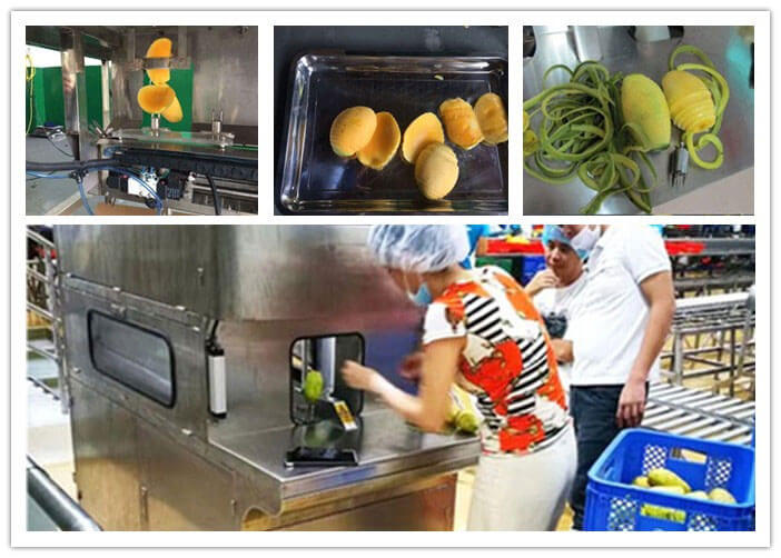 Mango Products and Process Methods of Dried Mango Slices and Juice