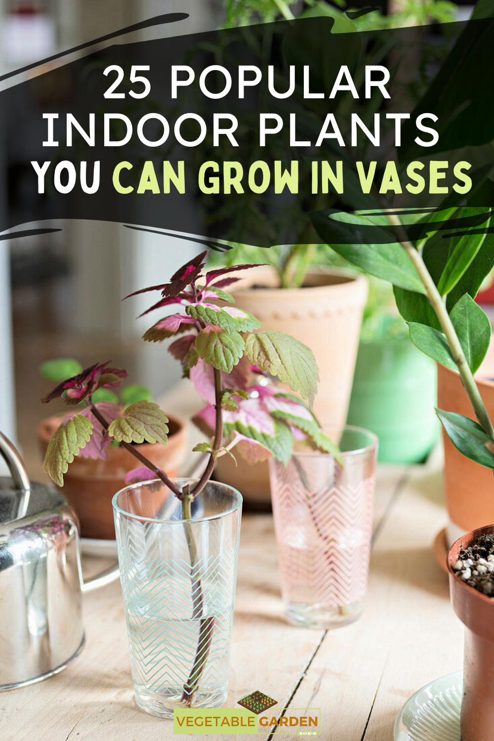 25 Popular Indoor Plants You Can Grow In Vases