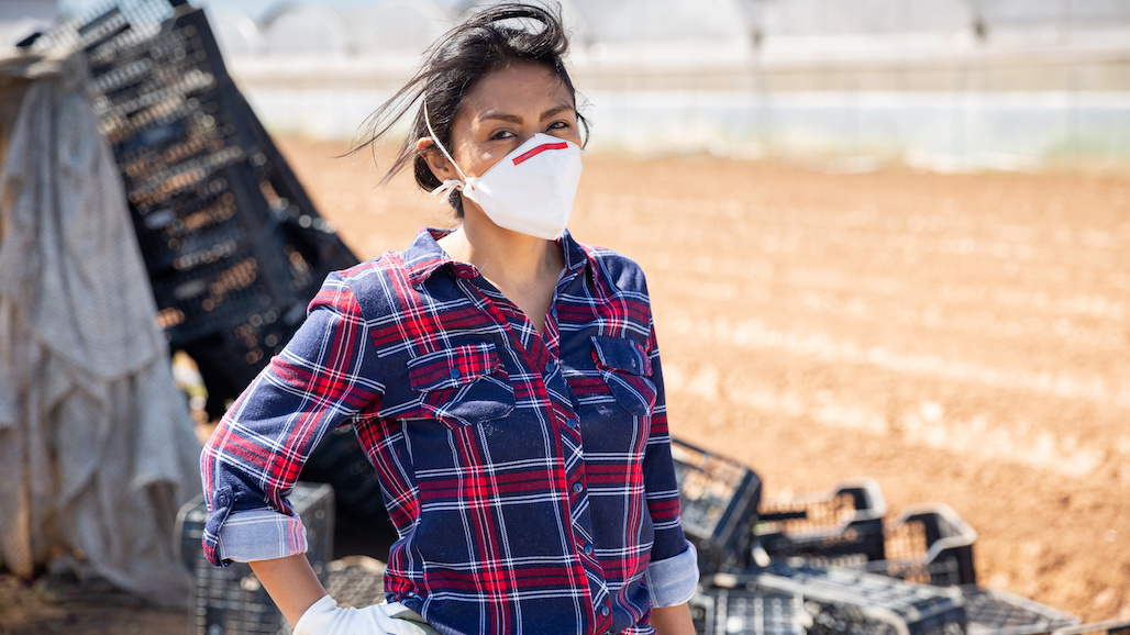 GSA Expands Farm Worker COVIDPrevention Training Program to Yuma