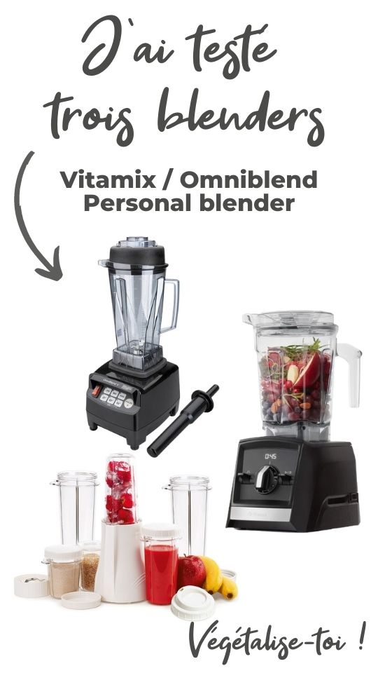 Vitamix et Omniblend comparaison + code promo Végétalisetoi