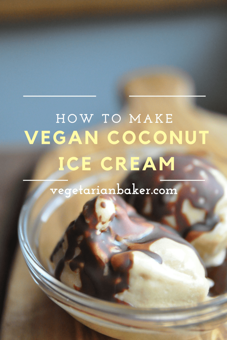 Vegan Coconut Ice Cream Machine at William Venegas blog