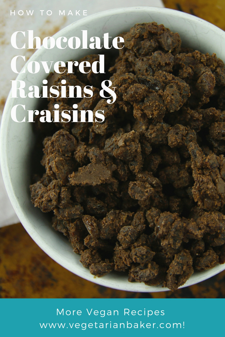 Chocolate Covered Raisins and Craisins Vegan & GlutenFree