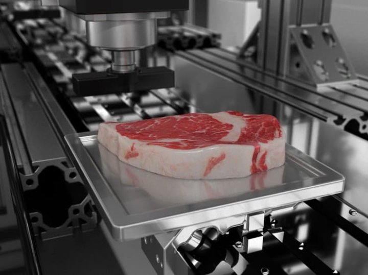 25+ Lab Grown Meat Companies The Complete List