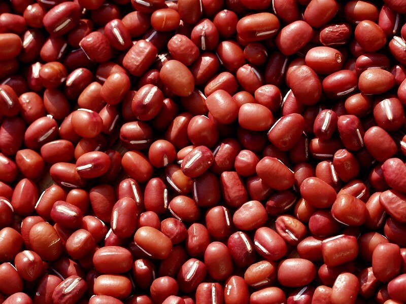 Adzuki Beans vs Kidney Beans Taste and Nutrition Comparison