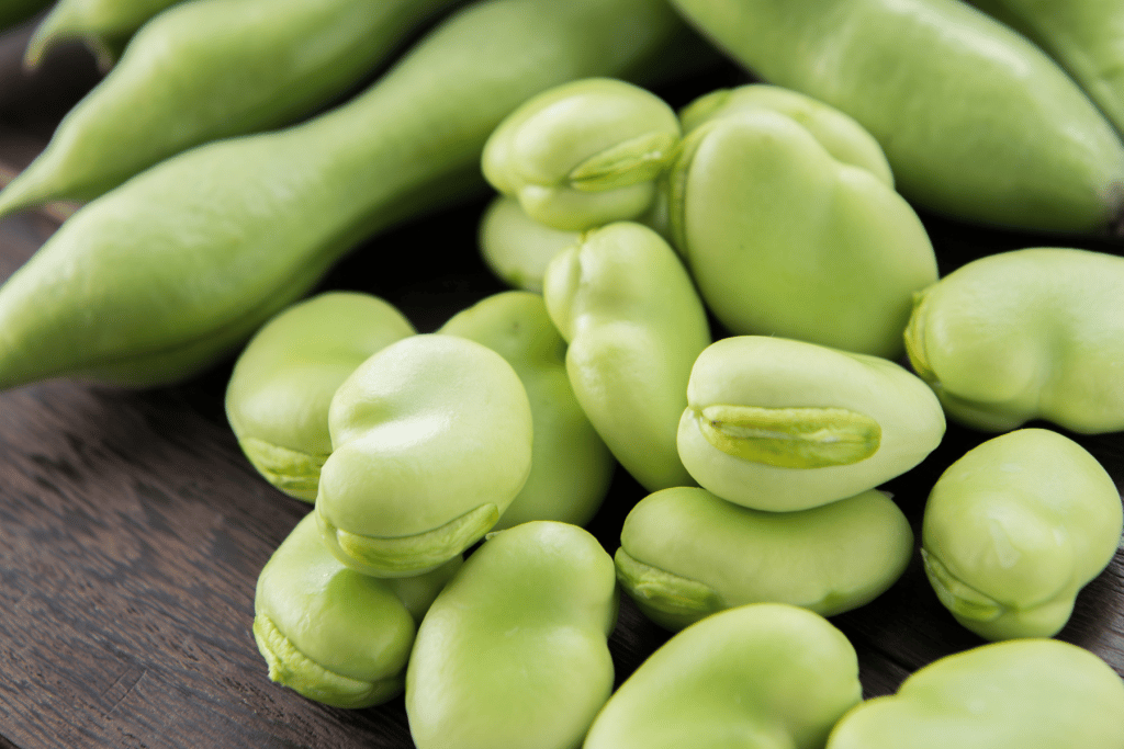 Kann man dicke Bohnen roh essen? VEGGGI