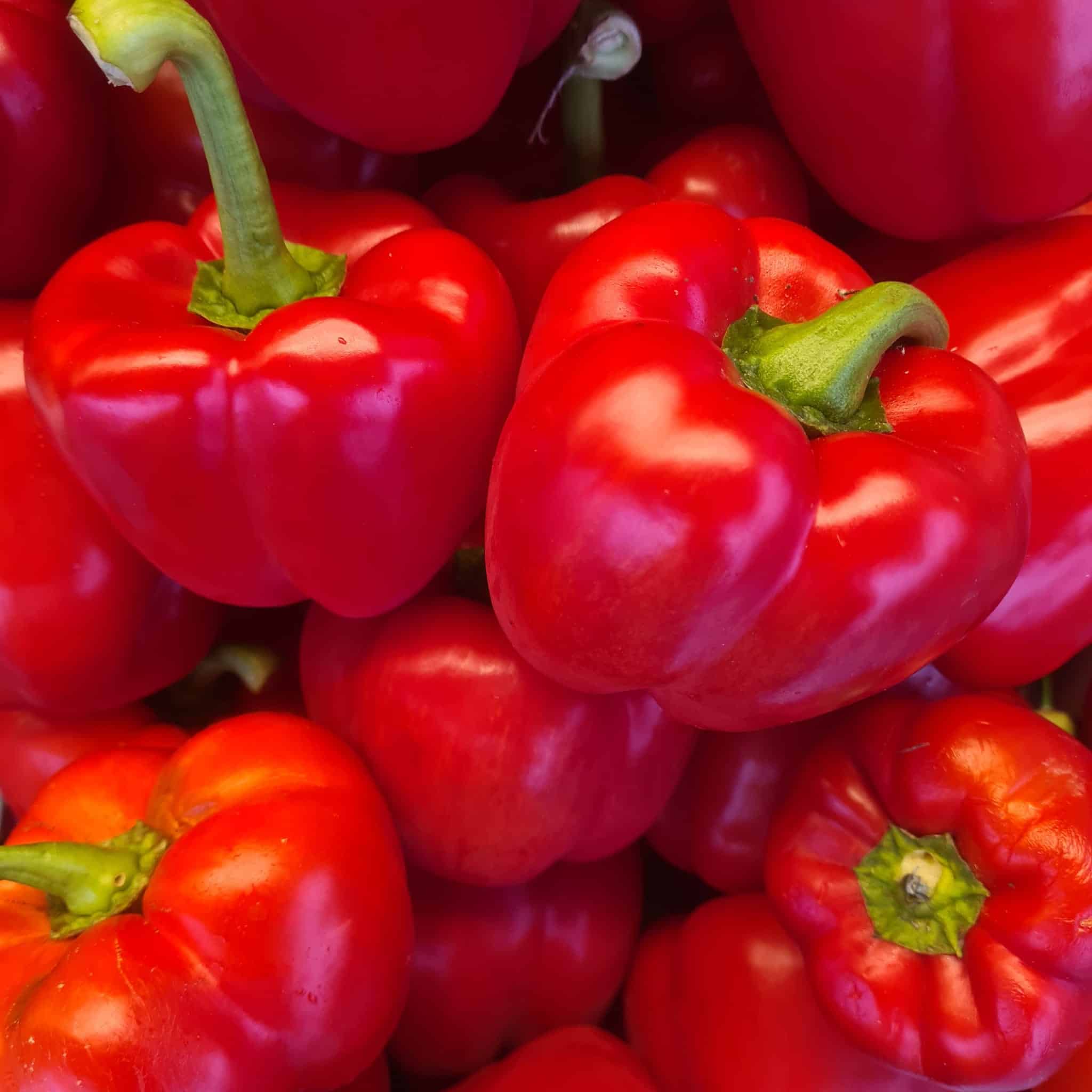 Paprika rood Veggiebasket