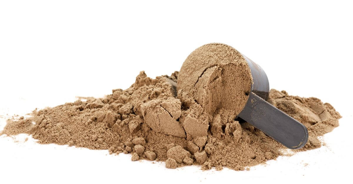 The Best Vegan Protein Powder Canada 2024 Veggie in the 6ix