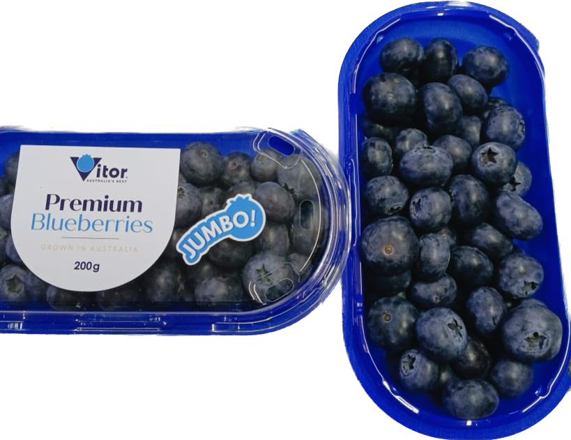 Premium Blueberries (South Africa) Veggies.my