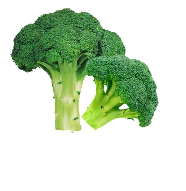 Broccoli Nutrition Guide and Health Summary Veggies Info