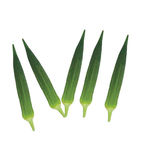 Okra Health Values and Nutrition Information Veggies Info