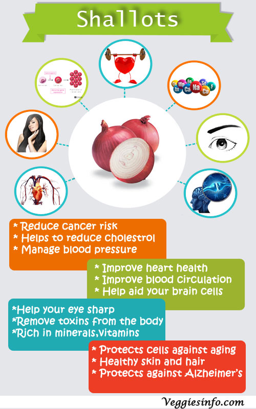 Shallot Nutrition Guide and Health Properties Veggies Info