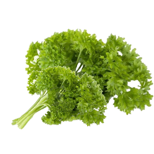 Nutrition Guide and its Healthy Properties Parsley Veggies Info