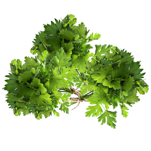Nutrition Guide and its Healthy Properties Parsley Veggies Info