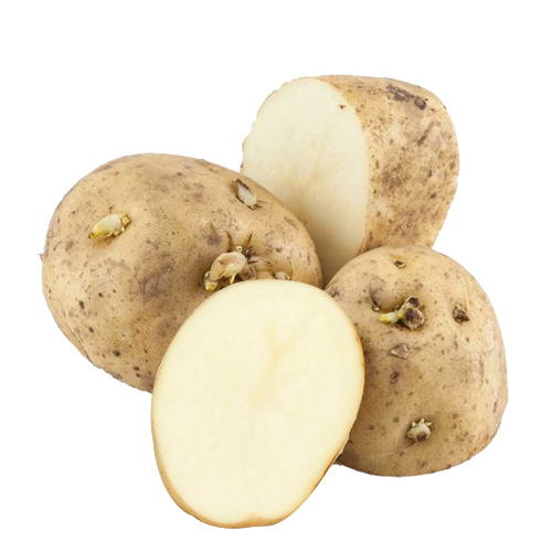 Potato uses and Home remedies Veggies Info Veggies Info