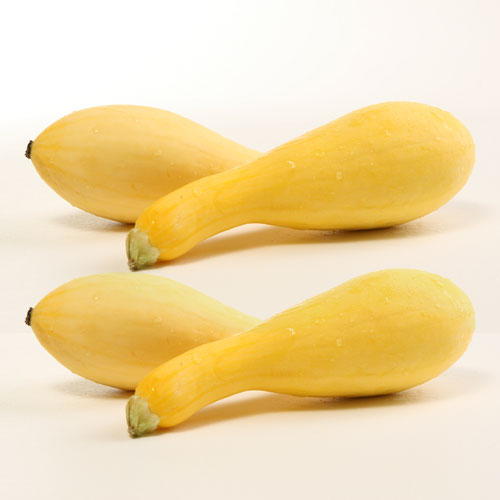 Nutrition Guide & Health Properties Summer Squash Veggies Info