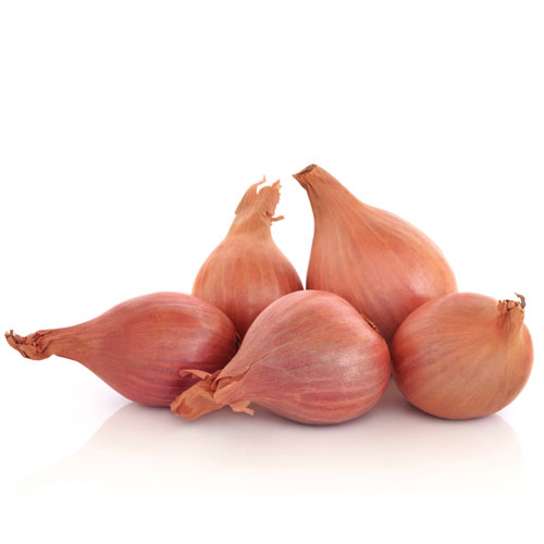 Shallot Nutrition Guide and Health Properties Veggies Info