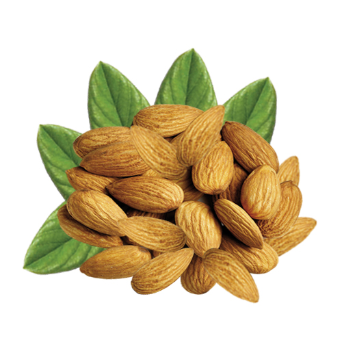 Almond Nuts Beneficial Properties & Health Facts Veggies Info