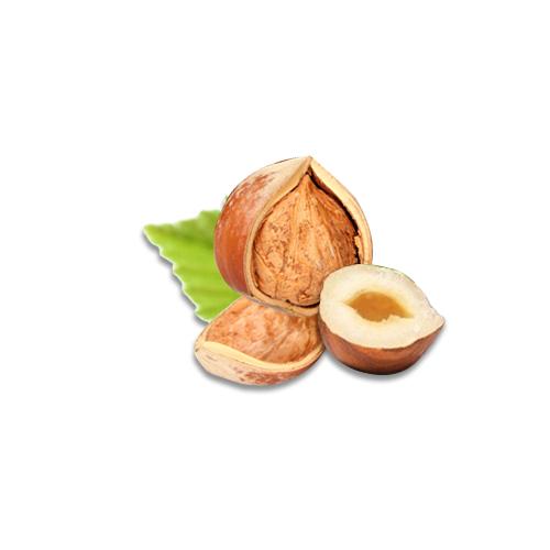 Hazelnuts Nutrition Value and Health Benefits Veggies Info