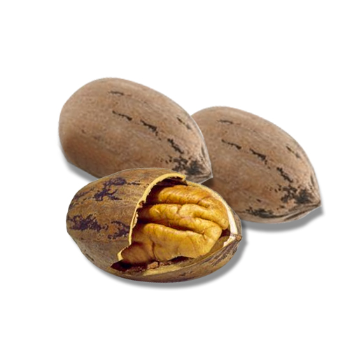 Pecan Fruit Nuts Health Facts and Nutrition Values Veggies Info
