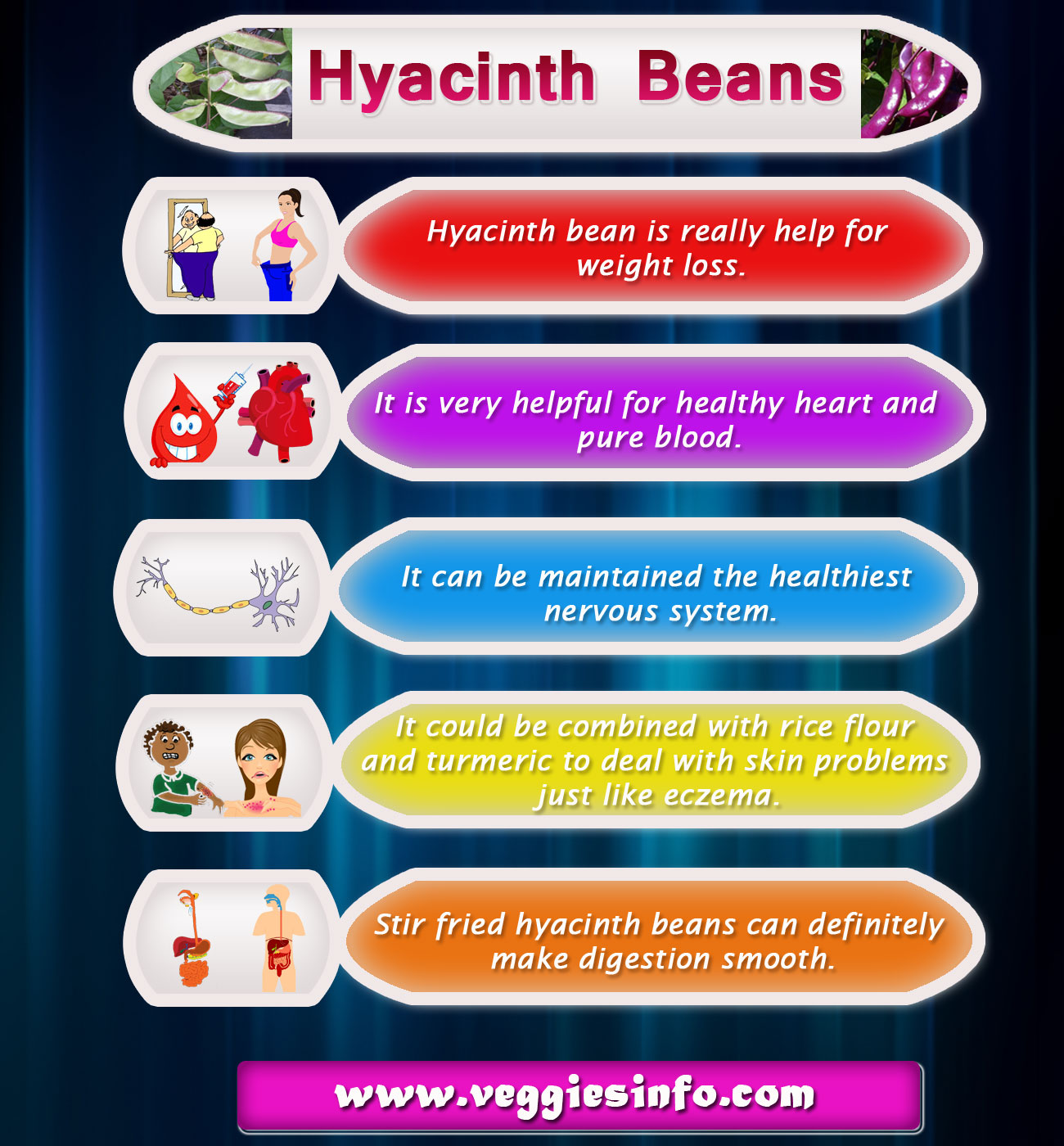 Hyacinth Bean Aspects And Its Medicinal Uses Veggies Info Veggies Info