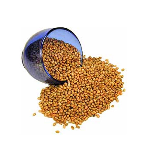 Moth Bean Healthy Eating And Its Uses Veggies Info